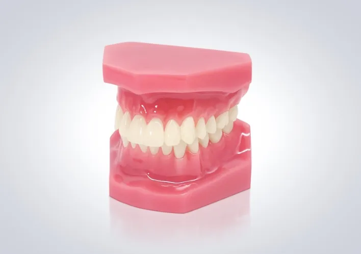 予防は「炎症（細菌）」と「力（噛み合わせ）」をコントロールすること